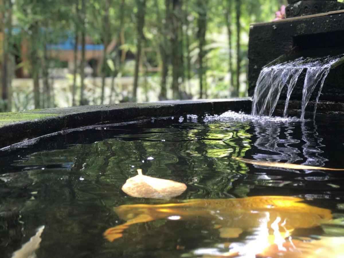 Sama's And Bed & Breakfast Ubud