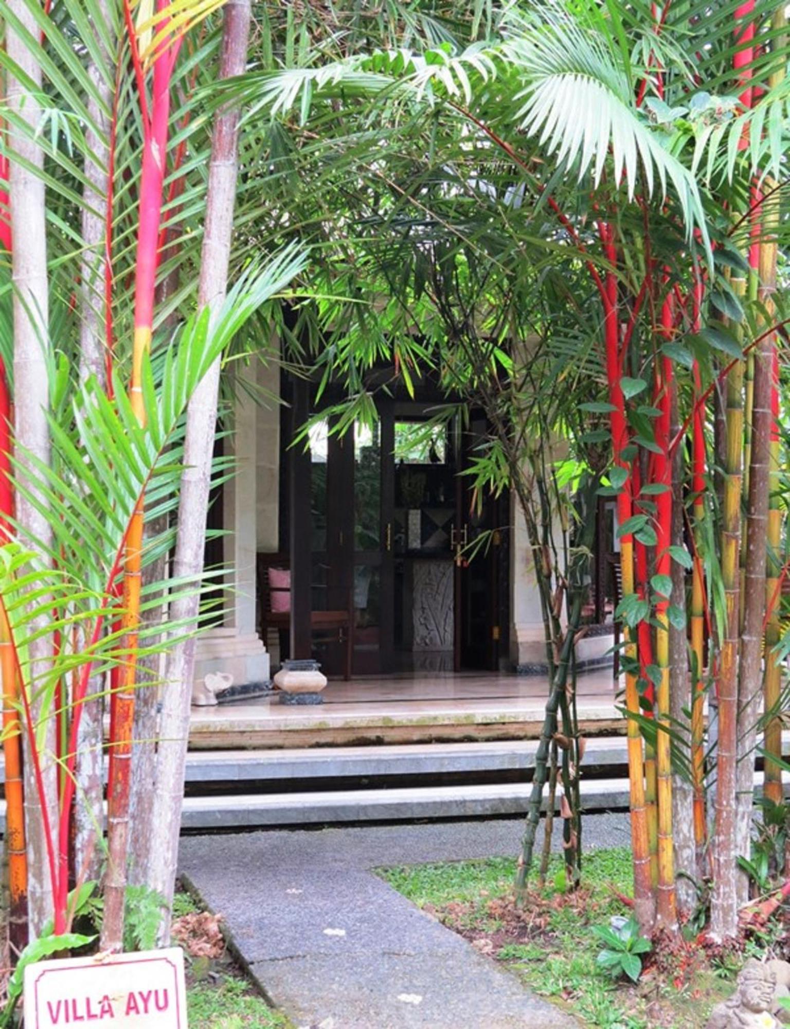 Sama's And Bed & Breakfast Ubud