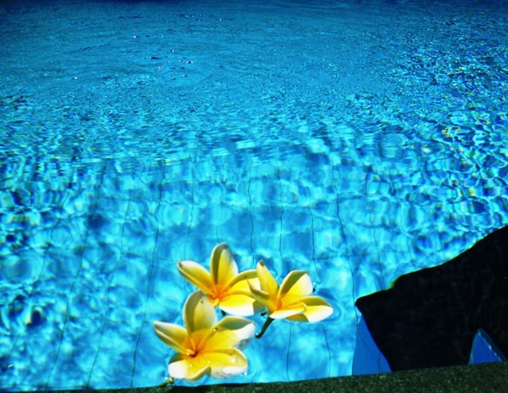 Sama's And Bed & Breakfast Ubud